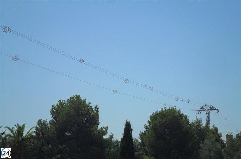 Medio Ambiente adapta redes eléctricas para salvaguardar aves ante la electrificación.