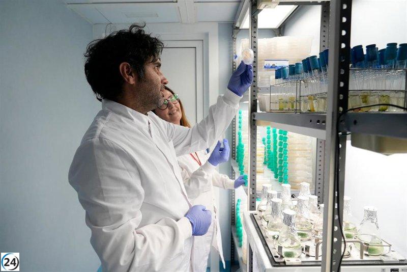 La UMU asegura más de 51 millones de euros en fondos de la UE para impulsar la innovación y transformación.