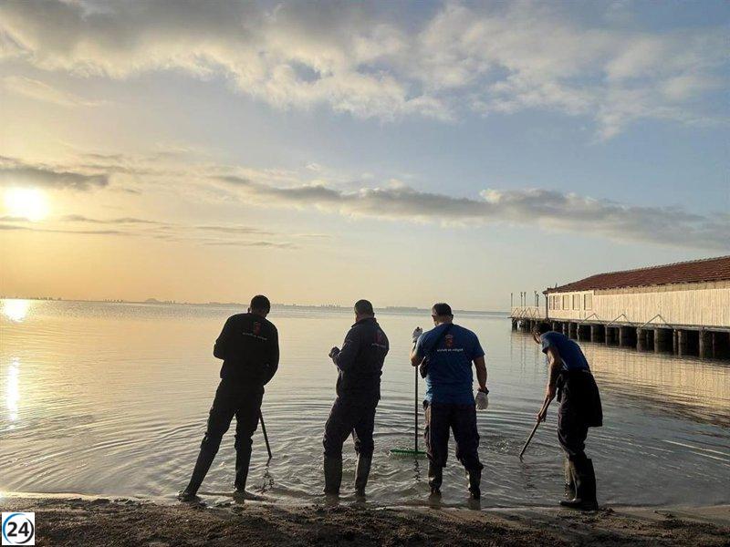 Aumento del acuífero en el Mar Menor tras la tormenta ‘Alice’, según piezómetros.