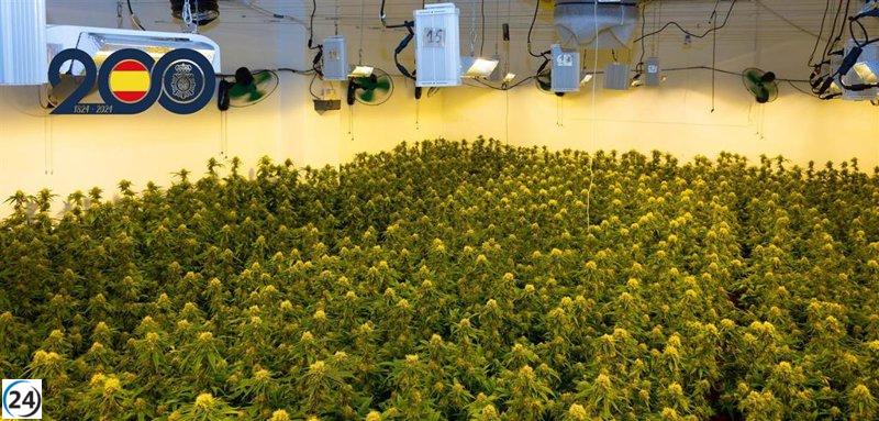Detienen en Murcia a nueve integrantes de un clan familiar por narcotráfico.