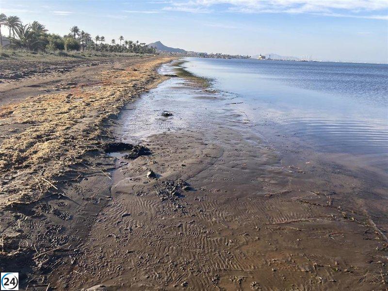 La Oficina Técnica del Mar Menor destaca al Comité Científico como el encargado del análisis de datos.