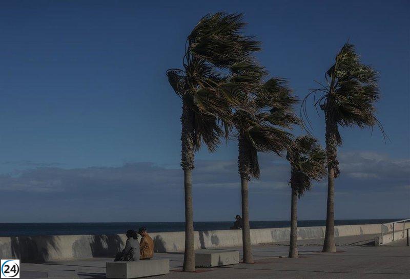 Rachas de viento de hasta 70 km/h amenazan el Altiplano este jueves, advierte Meteorología.
