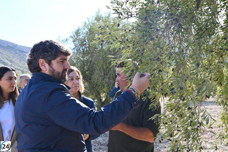 López Miras destina 7 millones de euros para apoyar a agricultores y ganaderos afectados por la sequía.