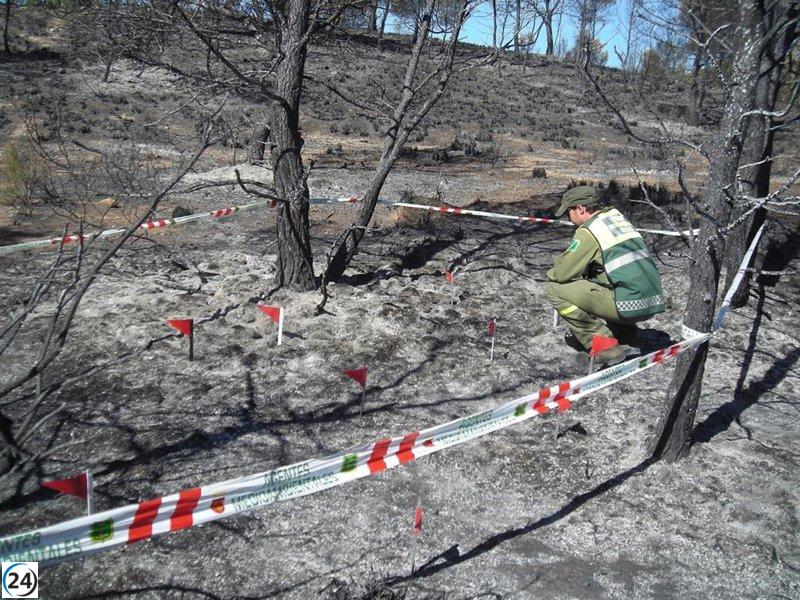 La BRIDA acumula más de 700 casos en dos décadas de labor en Murcia.
