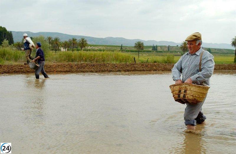El Gobierno regional destinó 200.000 euros a 48 agricultores del Coto Arrocero.