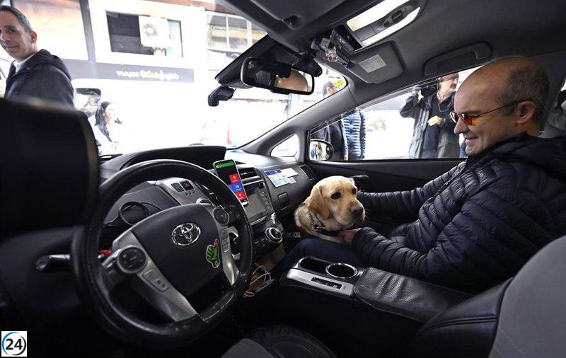 Taxis de Murcia implementarán prioridad para viajeros con perros guía y nuevo sistema informativo.