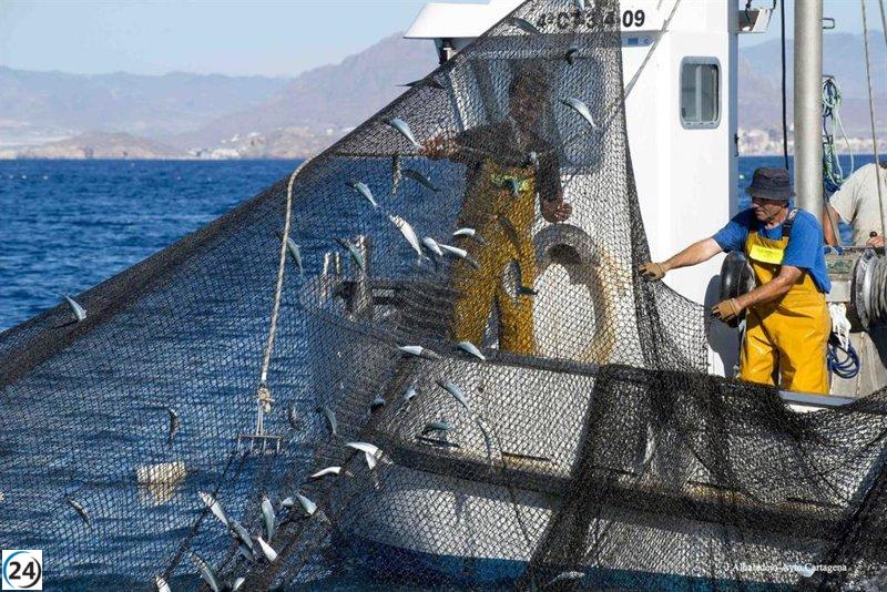 Arte de pesca de la almadraba de La Azohía podría ser declarado BIC.