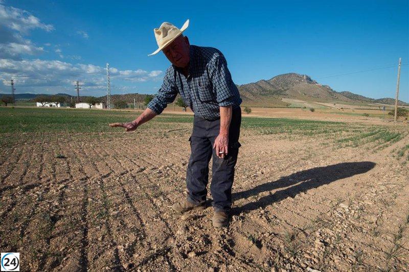 24.000 agricultores y ganaderos de Murcia tendrán descuento del 25% en IRPF 2022.