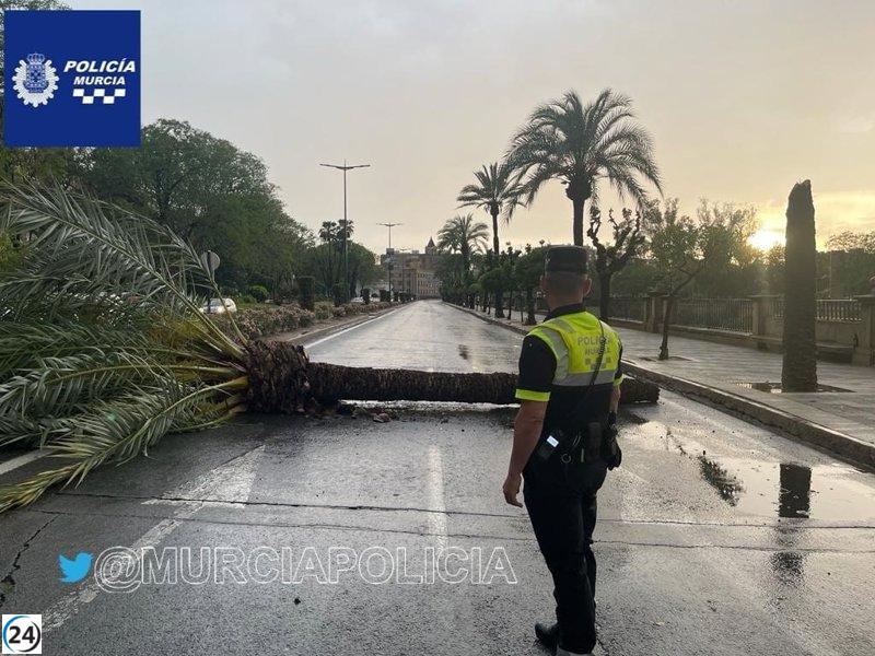 Tormenta en Murcia causa caídas de árboles y cortes en carreteras.
