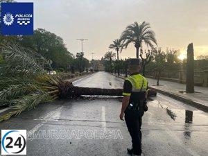 Tormenta en Murcia causa caídas de árboles y cortes en carreteras.