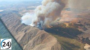 Más de la mitad de los incendios registrados en la Región en 2022 fueron causados por la negligencia humana o intencionalidad.