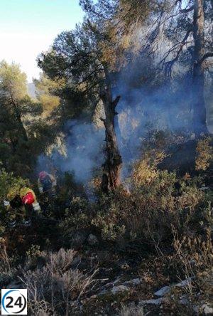 Incendio forestal en la Sierra del Burete de Cehegín (Murcia) bajo control.