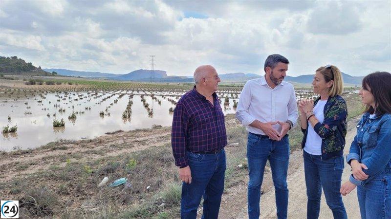 Murcia solicita reunión urgente con ministro de Agricultura por daños de tormentas.