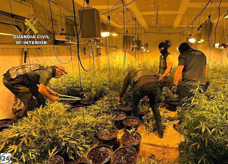 Desmantelados puntos de cultivo y venta de drogas en Murcia.