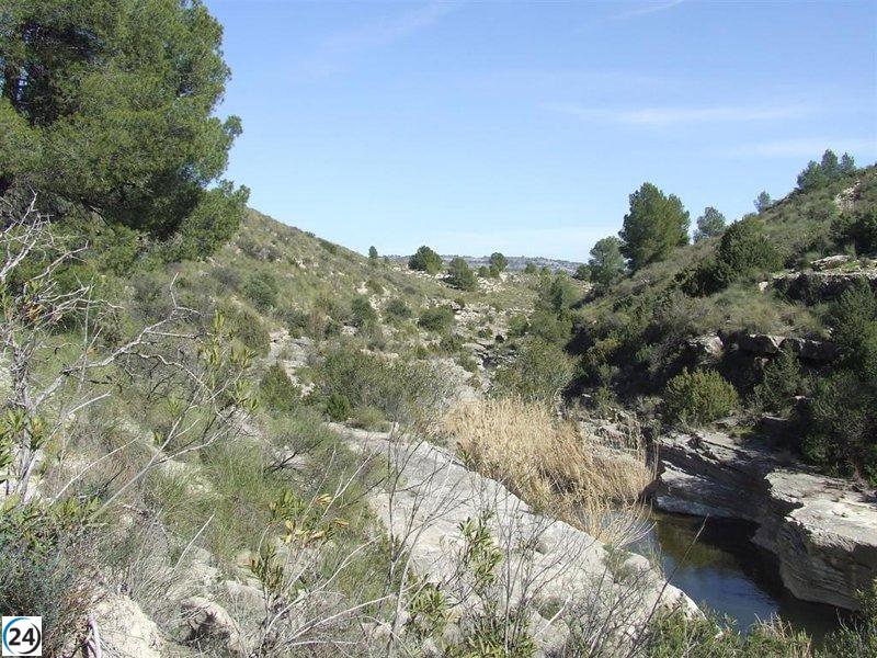 La Región incrementa su masa forestal con plantaciones y poblaciones de especies amenazadas.