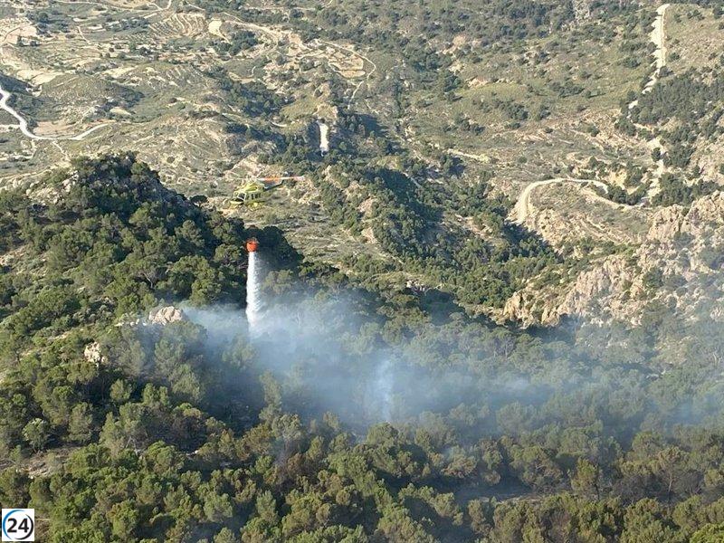 Más de 50 efectivos combaten incendio en Fortuna (Murcia)
