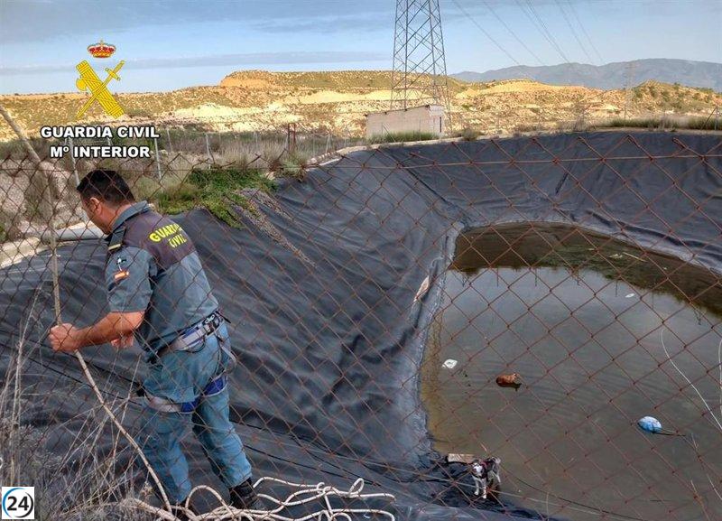 La Guardia Civil salva dos perros atrapados en balsa de riego en Librilla, Murcia