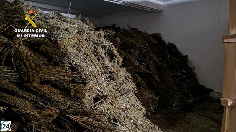 Incautadas más de 4 toneladas de cannabis en Águilas, Murcia, por la Guardia Civil.