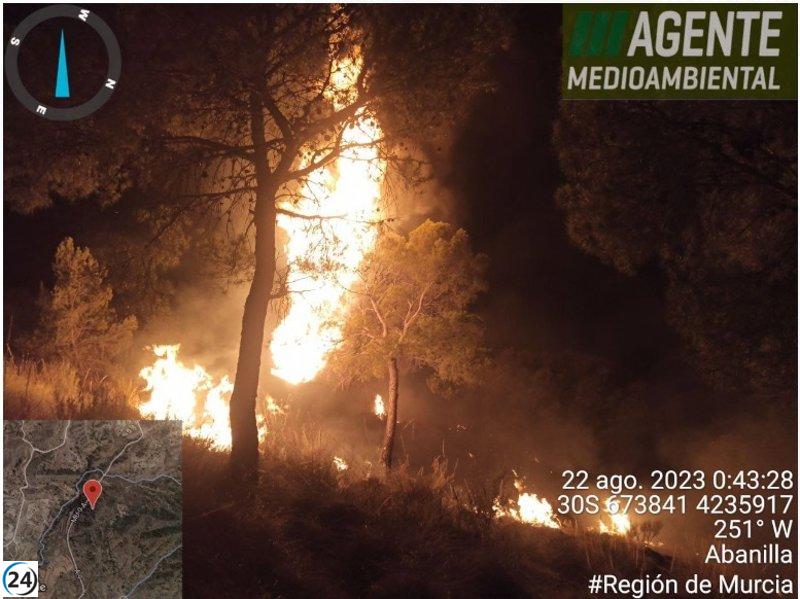 Incendio en Macisvenda: 4.000 m2 de matorral consumidos y 20 pinos dañados en conato de incendio (Abanilla)