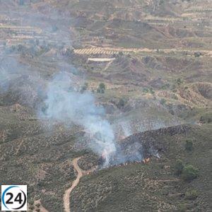Efectivos del Plan Infomur movilizados para sofocar incendio forestal en Abanilla (Murcia)