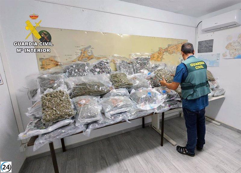 La Guardia Civil descubre un inmueble en Los Nietos donde se almacenaba marihuana para su comercialización.