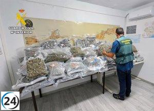 La Guardia Civil descubre un inmueble en Los Nietos donde se almacenaba marihuana para su comercialización.