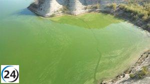 La CHS reporta un aumento de proliferación de algas en el embalse del Judío.