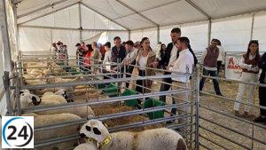 Murcia, líder en cría de cordero segureño con 16.500 ejemplares en 12 ganaderías