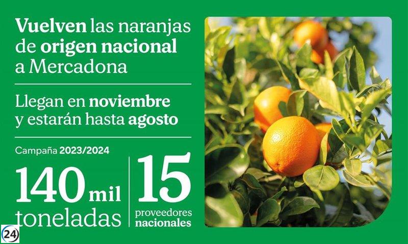 Mercadona impulsa la venta de 11.000 toneladas de naranjas en la Región con el inicio de su campaña nacional