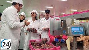 La productividad en uva de mesa alcanza su máximo en la Región de Murcia con un 85% del total en 2022.