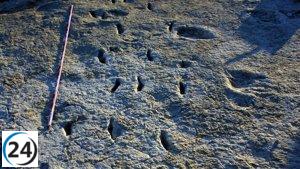 Descubierto en Jumilla un rastro fósil de gigantesco artrópodo desconocido, similar a una 'cucaracha' de un metro de largo.