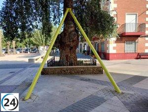 Álamo de Albudeite: saneamiento para preservar su vida y seguridad