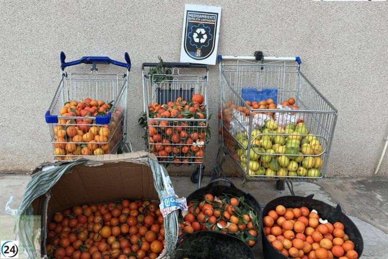 Aduana incauta cítricos y prendas en mercadillo de Ribera de San Javier, en Cartagena