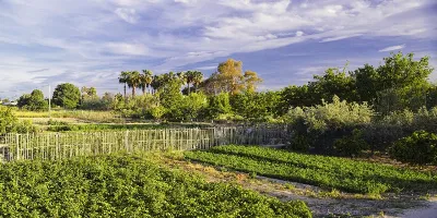 Huerta de Murcia: la historia detrás de uno de los paisajes más característicos
