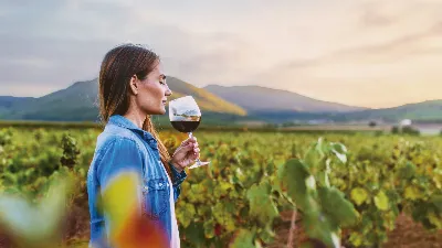 El legado del vino en la cultura murciana