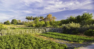 Descubre la naturaleza de Murcia