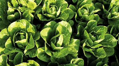 Las exportaciones de la Región de Murcia aumentan un 5,2% en el primer semestre de 2021