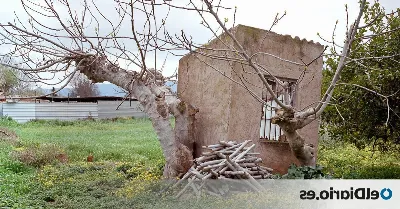 Murcia, epicentro de la economía circular en el Mediterráneo