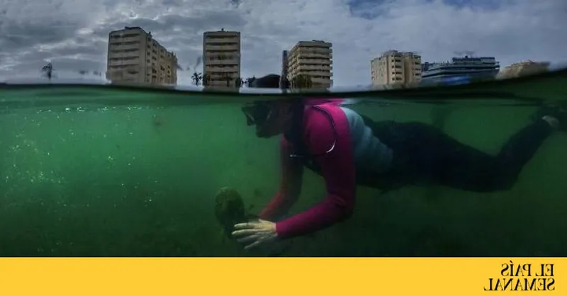 Las políticas medioambientales de la Región de Murcia y su impacto en el turismo
