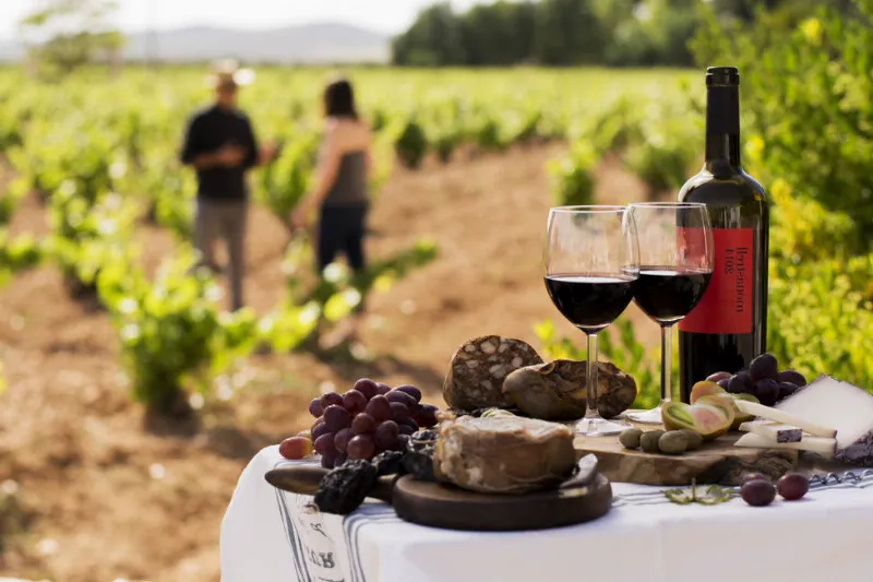 Murcia: Un paraíso del vino