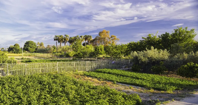 Descubre la naturaleza de Murcia