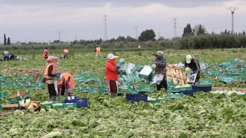 La agricultura murciana, presente en el mercado internacional de productos orgánicos